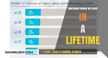 Unveiling the Mysteries of Lifetime Sleep: A Comprehensive Guide
