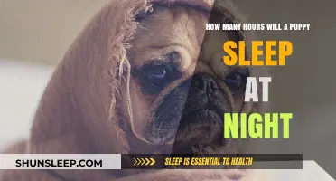 Understanding Puppy Sleep Patterns: A Guide for New Owners