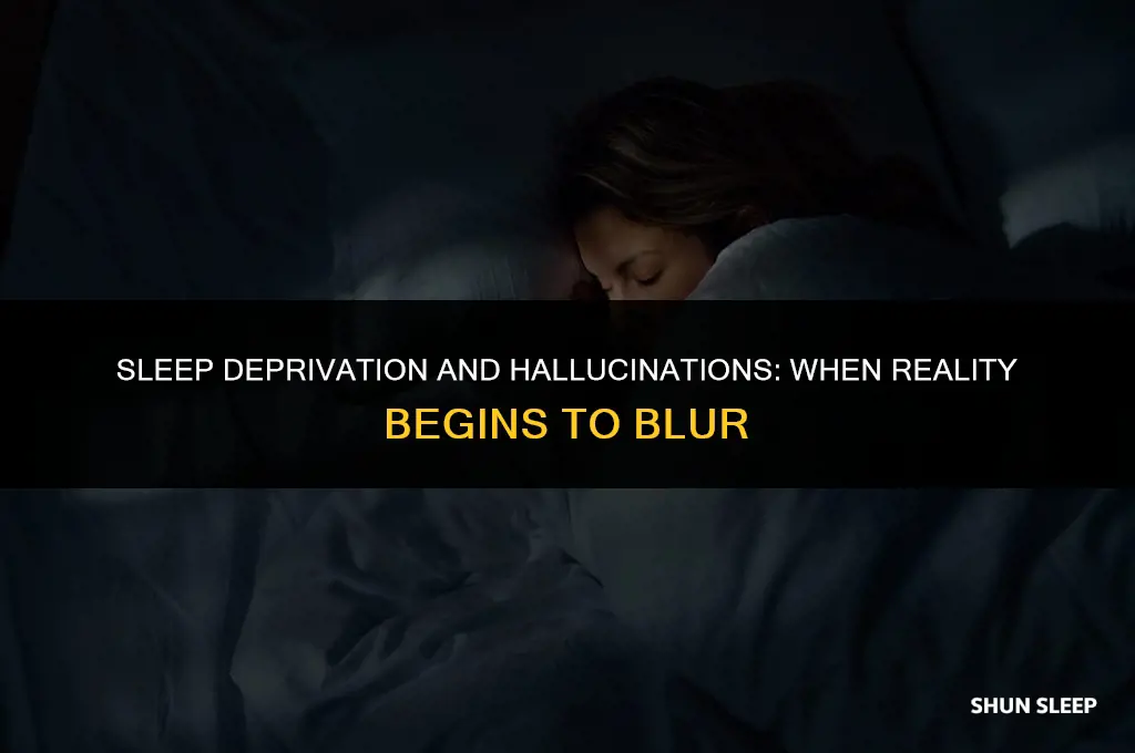 how many hours without sleep do you start to hilusinate