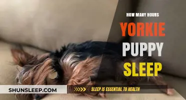 Understanding Yorkie Puppy Sleep Patterns: A Comprehensive Guide