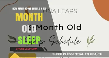 A Six-Month-Old's Guide to Slumber: How Much is Enough?