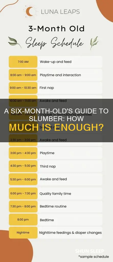 how many house should a six month old sleep