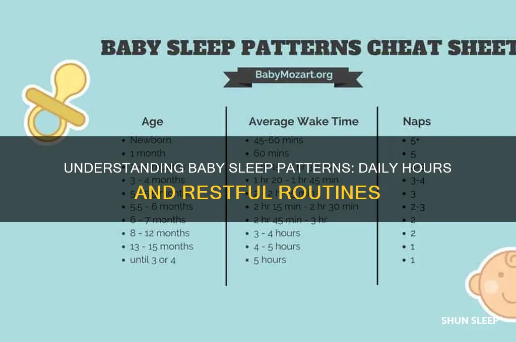 how many hrs a day do babies sleep
