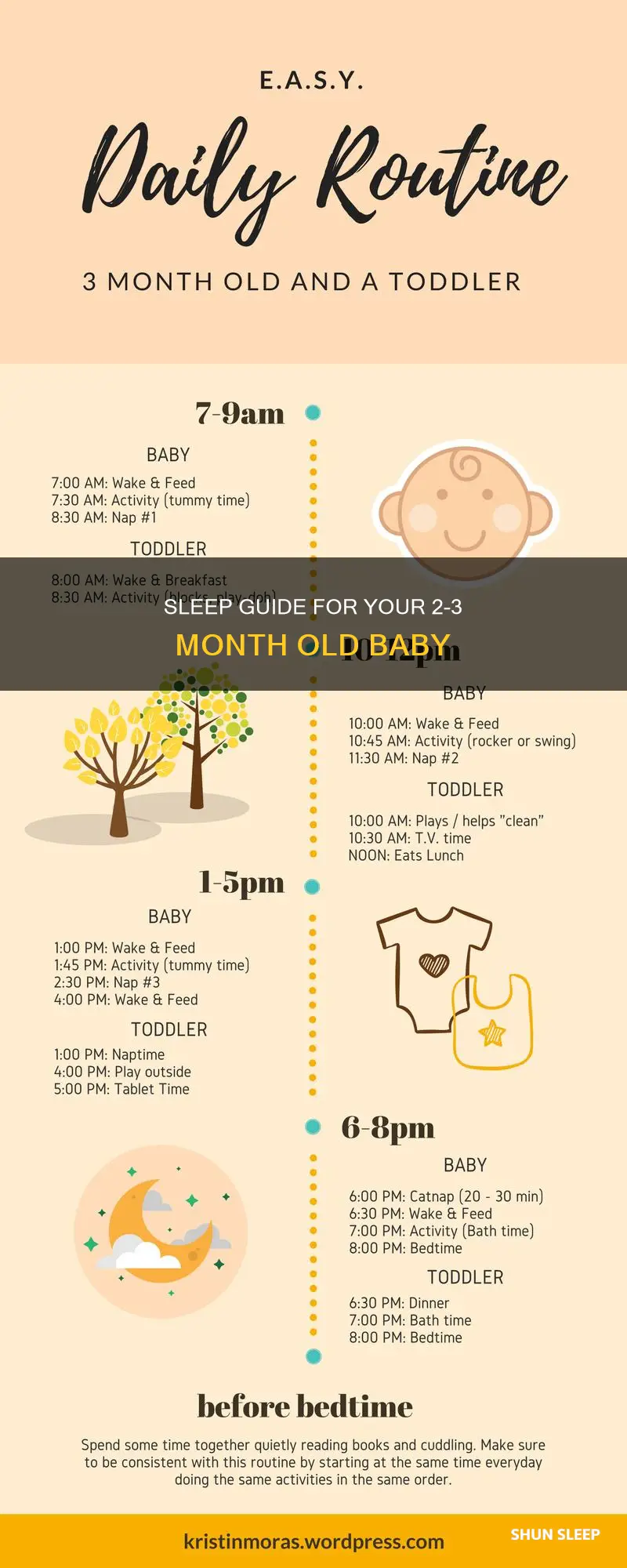 how many hrs should a 2 3 month old sleep