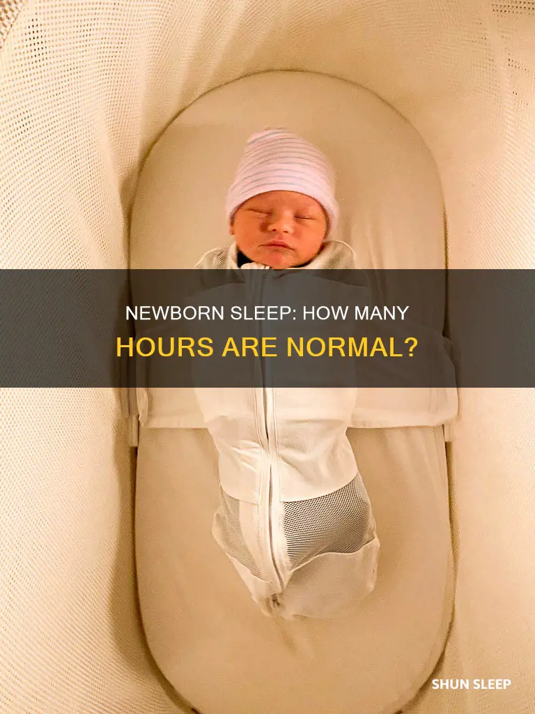 how many hrs should a 3 week old sleep