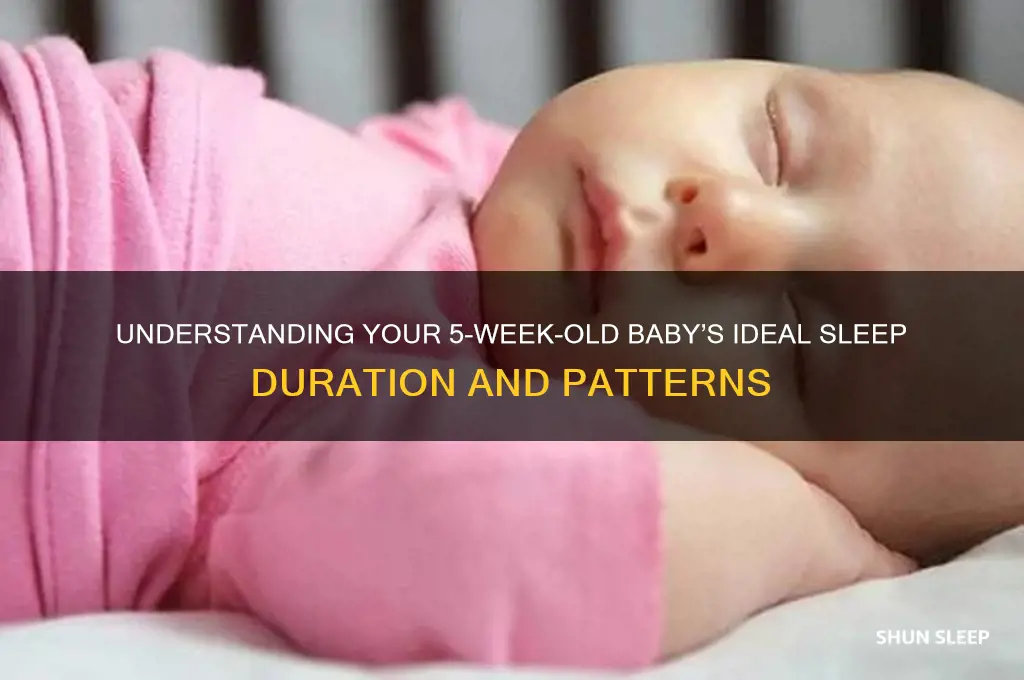 how many hrs should a 5 week old baby sleep