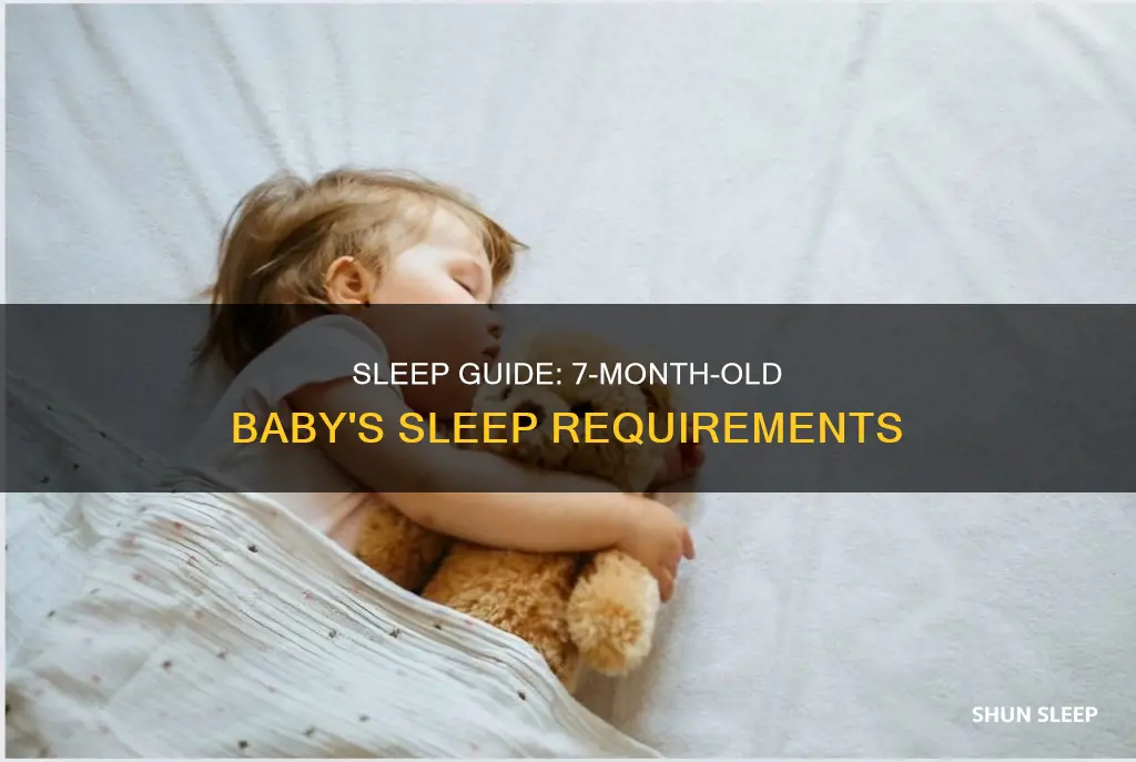 how many hrs should a 7 month old sleep