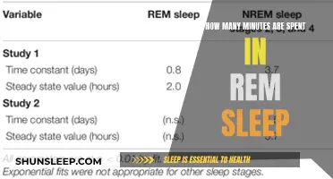 Understanding REM Sleep: Minutes Spent in Dreamland