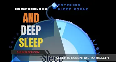 Understanding the Importance of REM and Deep Sleep