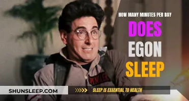 Egon's Sleep Patterns: A Daily Minute-by-Minute Guide