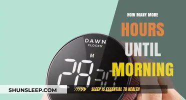 Counting Down to Dawn: A Guide to Surviving the Night Shift