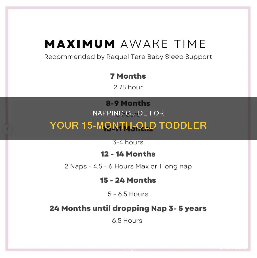 how many naps should a 15 month old sleep