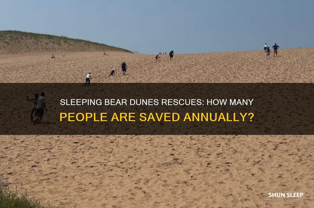 how many people get rescued from sleeping bear dunes