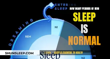 Understanding the Norm of REM Sleep Cycles