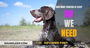 Sleep's Sweet Spot: How Many Hours Do We Need?