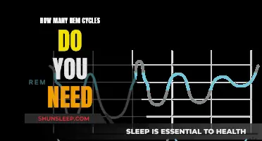 Understanding the Ideal REM Cycle for a Restful Sleep