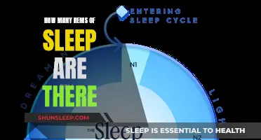 Understanding Sleep Cycles and REM Phases