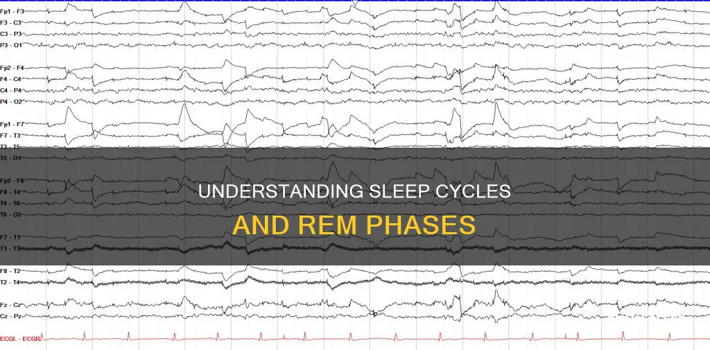 how many rems of sleep are there