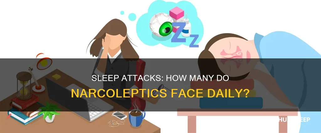 how many sleep attacks per day do narcoleptics have