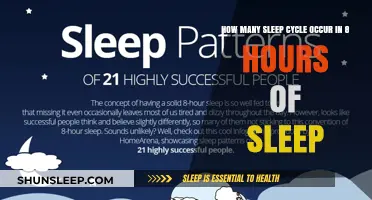 Unveiling the Mystery: Sleep Cycles in an 8-Hour Rest