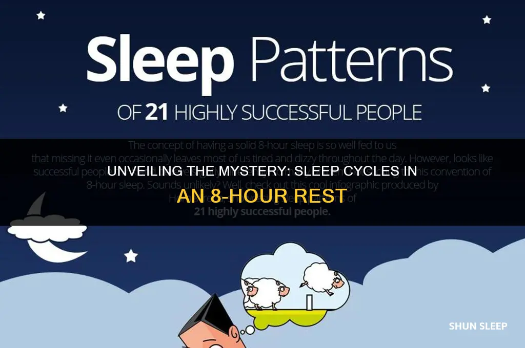 how many sleep cycle occur in 8 hours of sleep