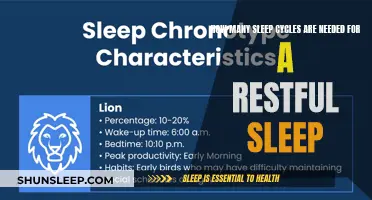 Sleep Cycles: Quantity for Quality Rest