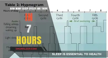 Unveiling the Mystery: Sleep Cycles in a 7-Hour Rest