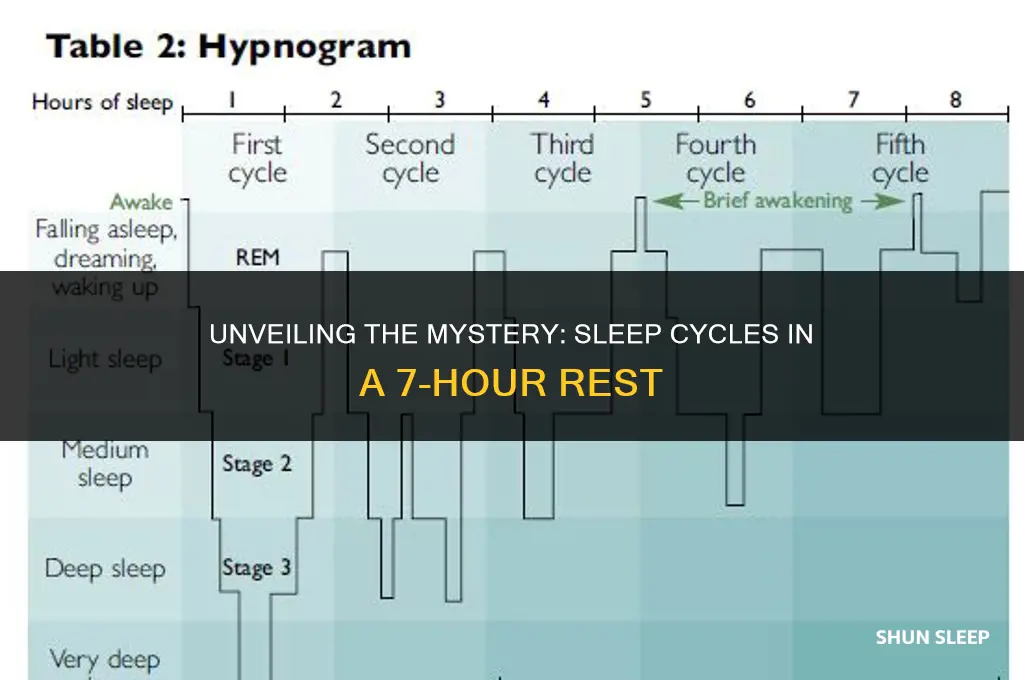how many sleep cycles are there in 7 hours