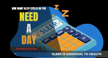 Sleep Cycles: How Many Do You Really Need?