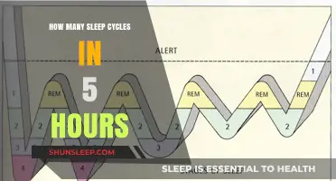 Unlocking Restful Slumber: Understanding Sleep Cycles in a 5-Hour Window