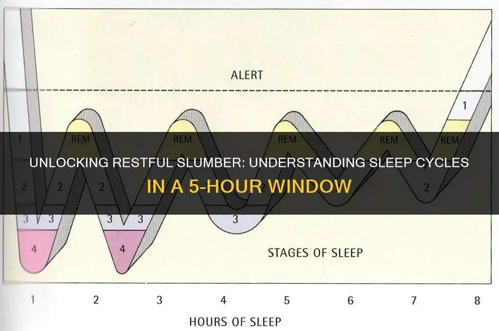 how many sleep cycles in 5 hours