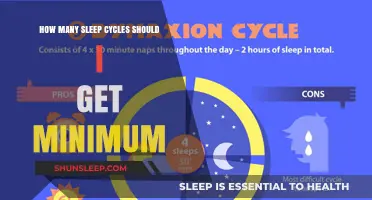 Understanding Sleep Cycles: What’s the Minimum for Optimal Rest?