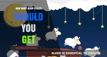 Understanding Sleep Cycles: How Many Do You Really Need?