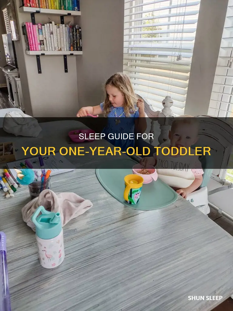 how many sleeps should a 1 year old have