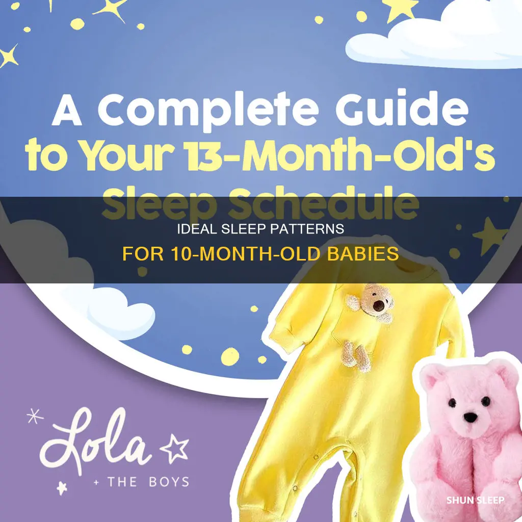 how many sleeps should a 10 month old have