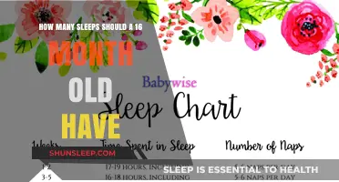 Optimal Sleep Patterns for Your 16-Month-Old Toddler