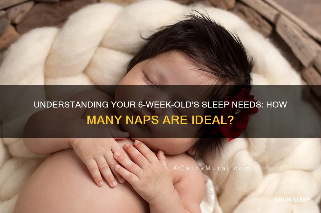 how many sleeps should a 6 week old baby have