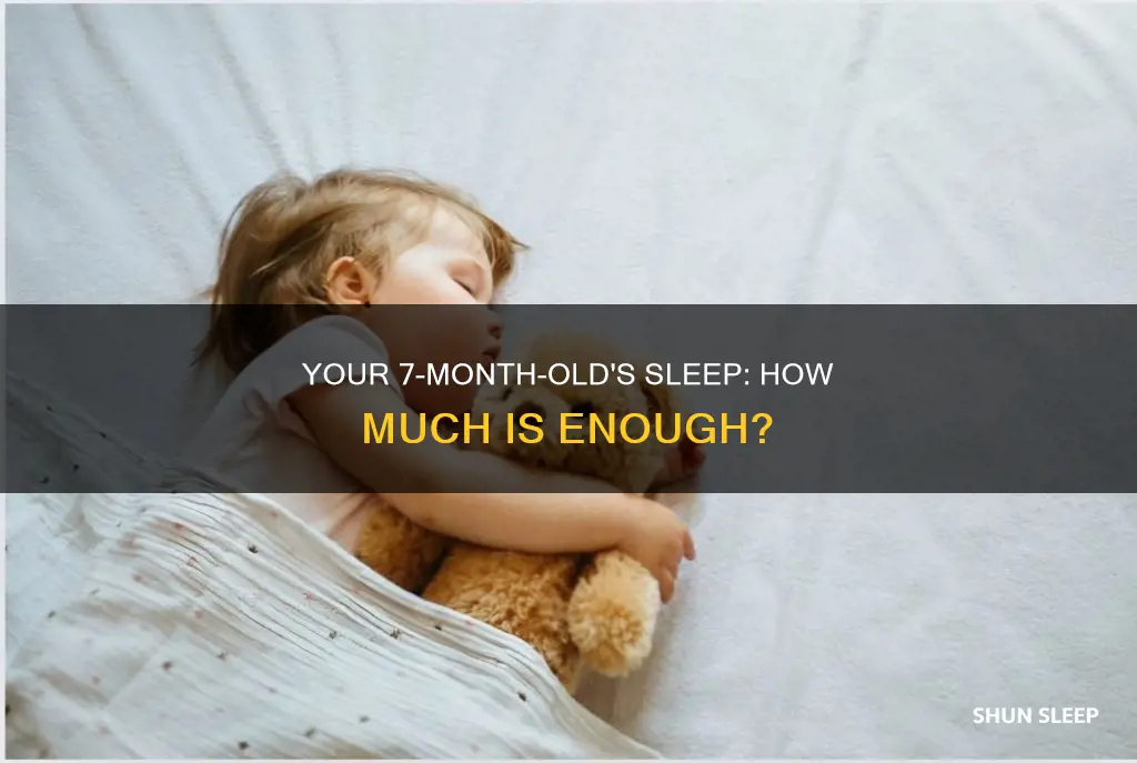 how many sleeps should a 7 month old have