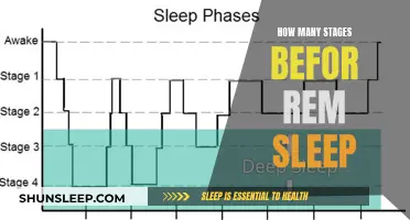 Sleep Stages: The Journey to REM Sleep