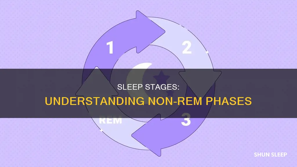 how many stages of non-rem sleep are there