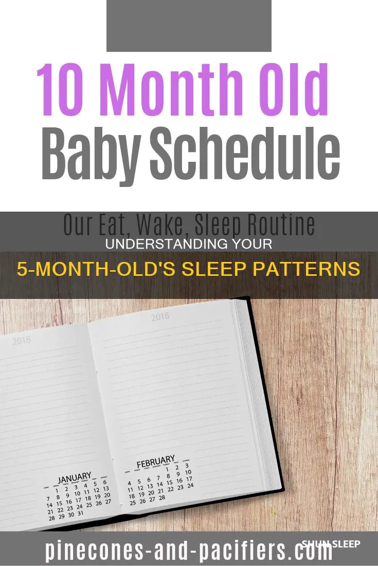 how many times a day do 5 month old sleep
