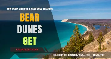 Sleeping Bear Dunes Annual Visitor Count: A Surprising Number Revealed