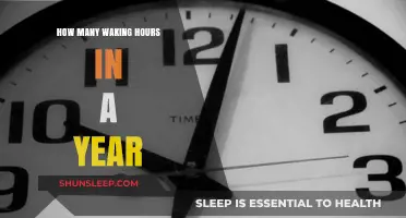 Maximizing Productivity: The Astonishing Number of Waking Hours in a Year