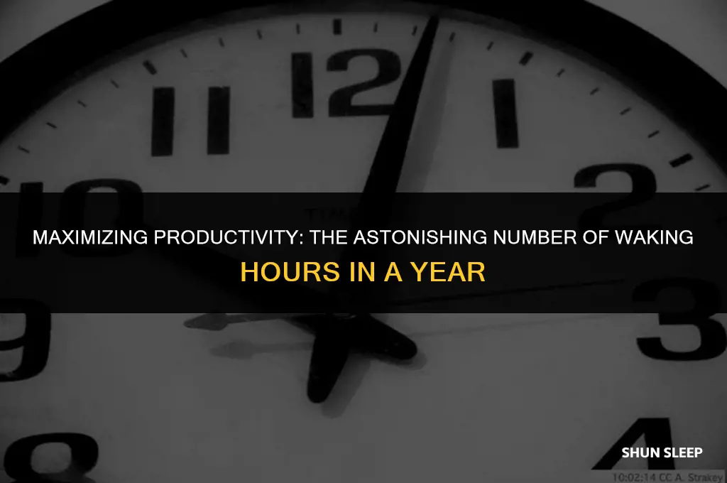 how many waking hours in a year