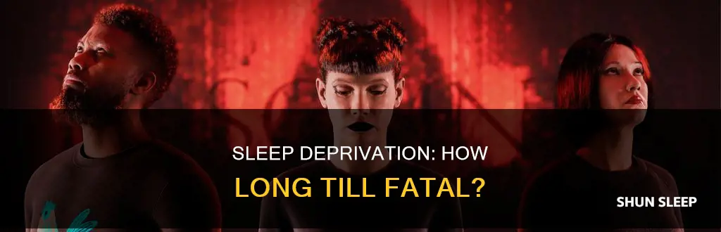 how many years does no sleeping take to kill you