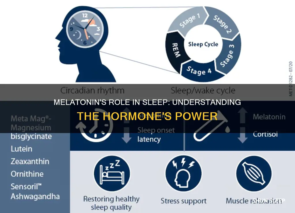 how melatonin works for sleep