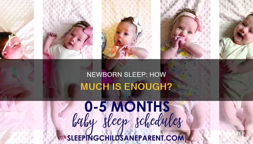 how mich do newborns sleep