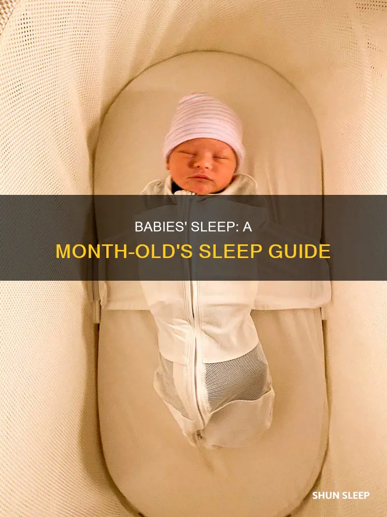 how mich does a month old sleep