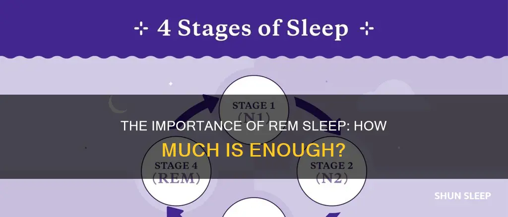 how mich rem sleep do you need