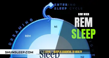 The Importance of REM Sleep and How Much We Need